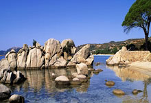 天涯论坛牛元帅：一个被网络选中的平凡人